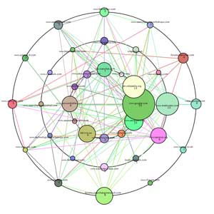 External seo work what is