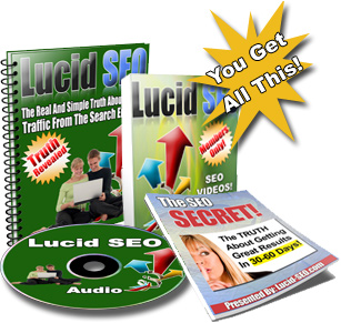 Professional seo